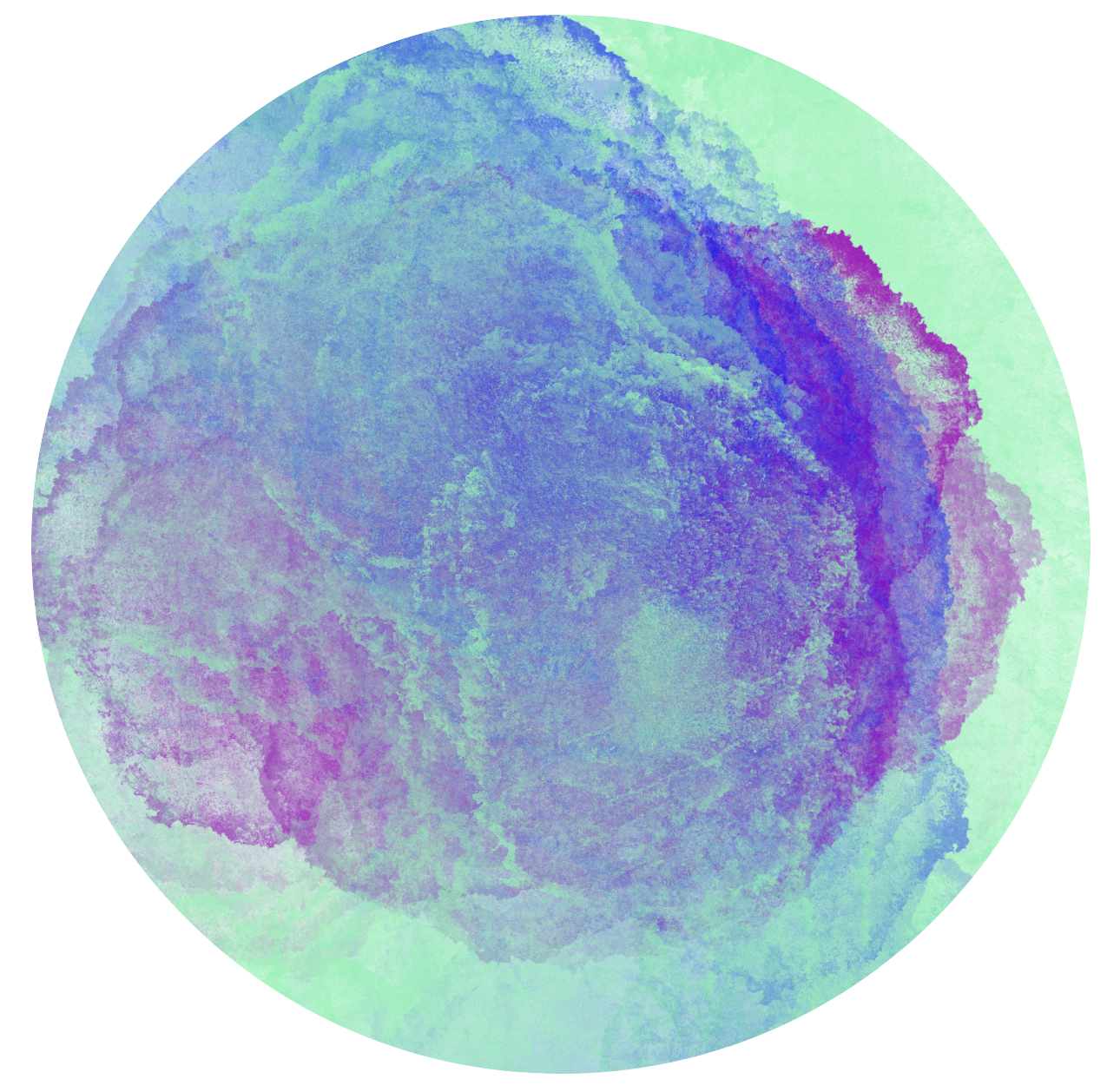 OWASP